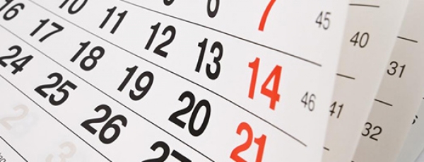 Structura an universitar